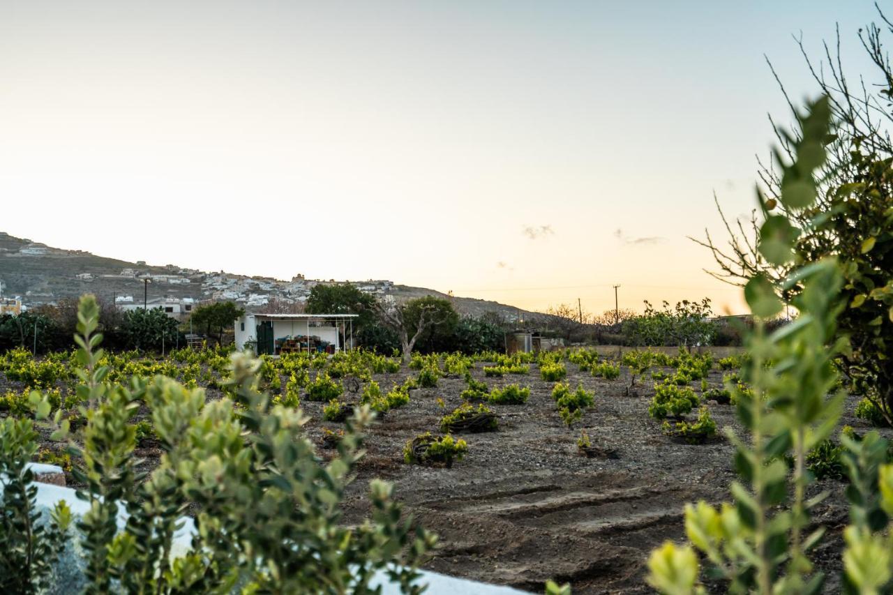 Sn Santorini Apartments Kamári Dış mekan fotoğraf